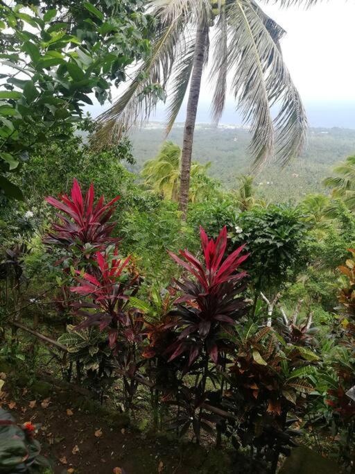 The Balcony Of The Camiguin Island Apartamento Mambajao Exterior foto